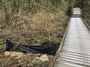 carriff canada before and after erosion control impact example